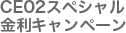 CE 02
                0.2%スペシャル金利キャンペーン